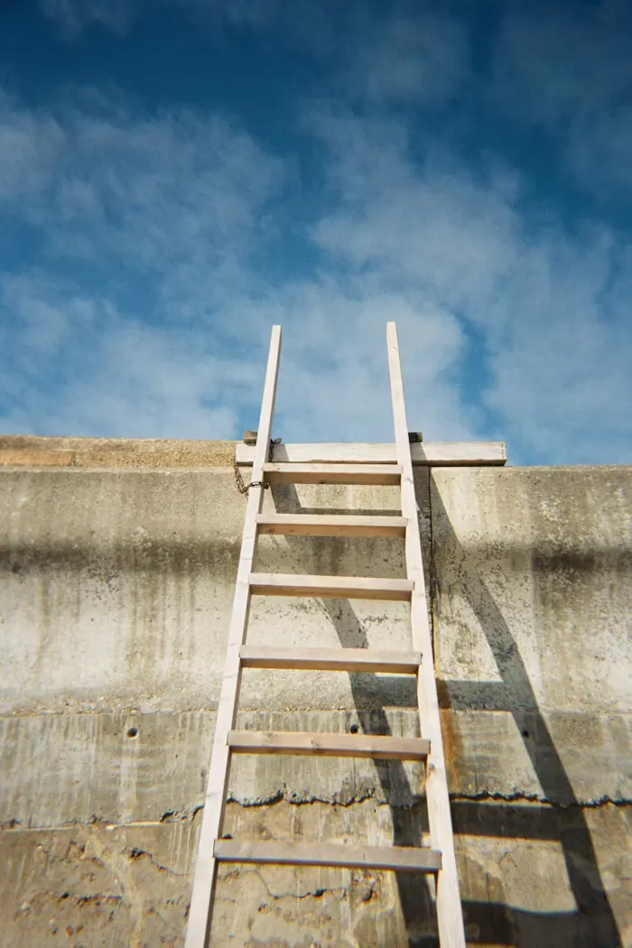 A career ladder for a team of twelve